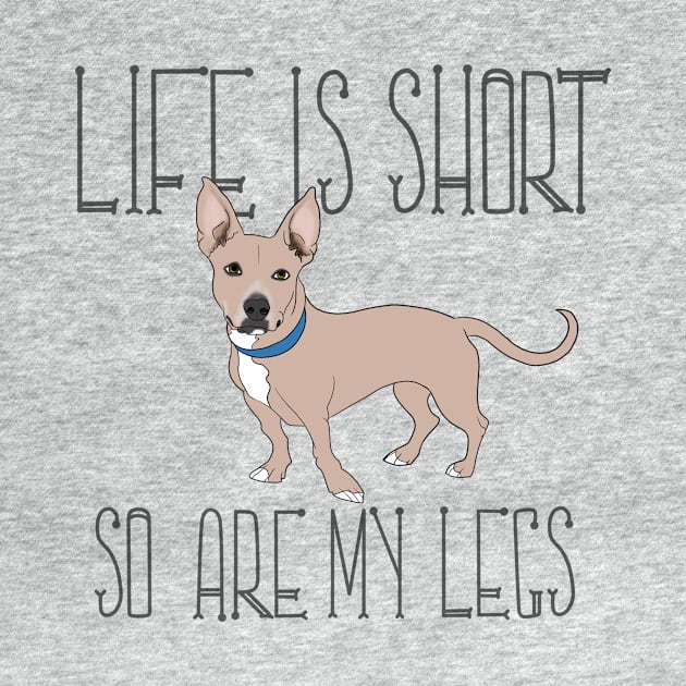 Life is short, so are my legs by AnxietyDog